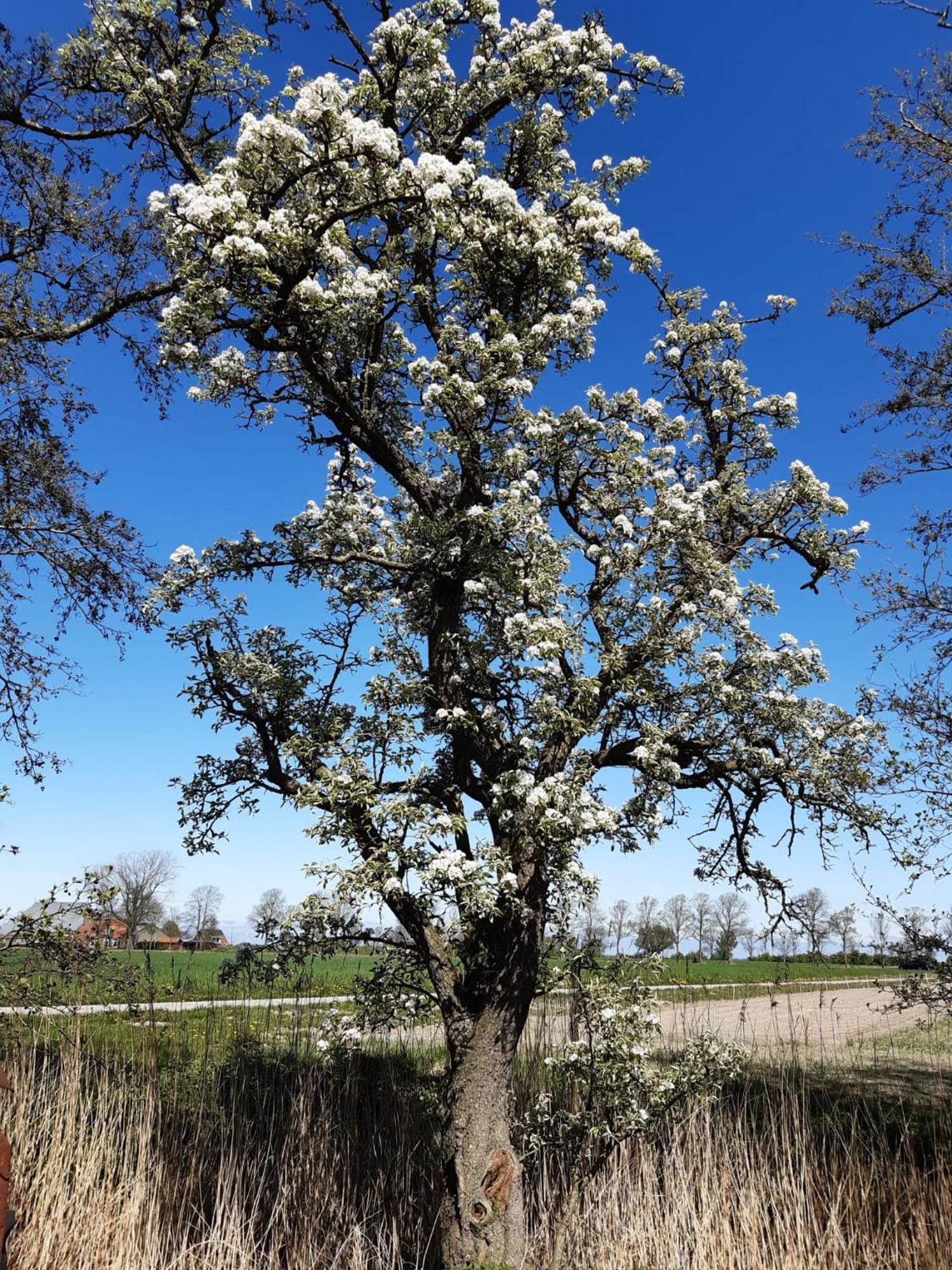 B&B Weidse Blik Ingelum Engelum Bagian luar foto